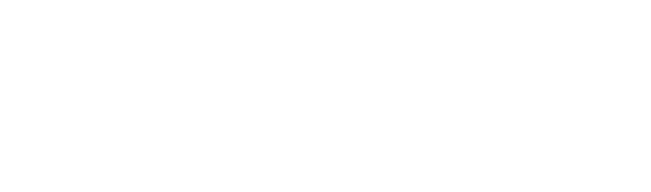 Port Transportation Association